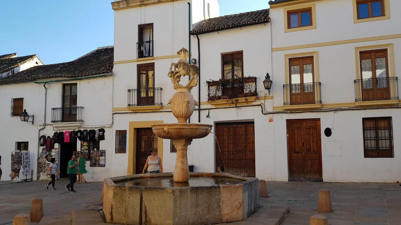 Cordoba Flair 22