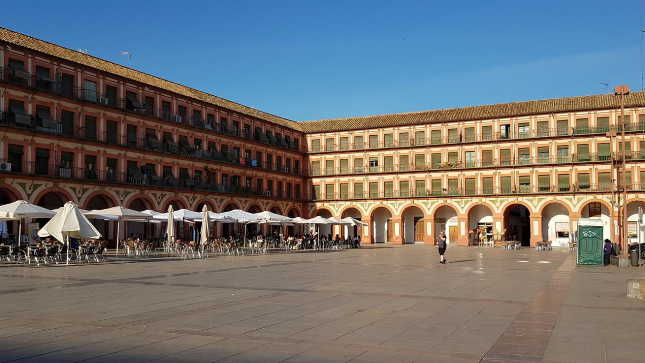 Cordoba Flair 29