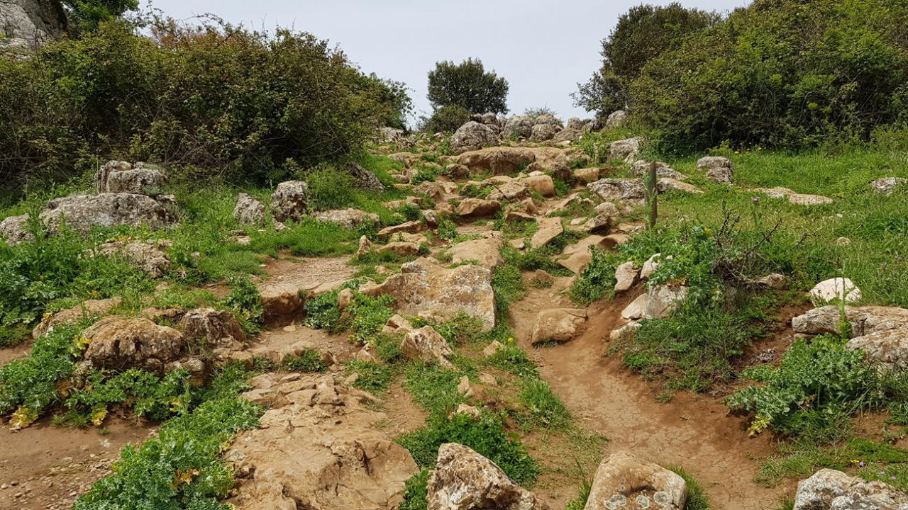 El Torcal  Naturpark 09