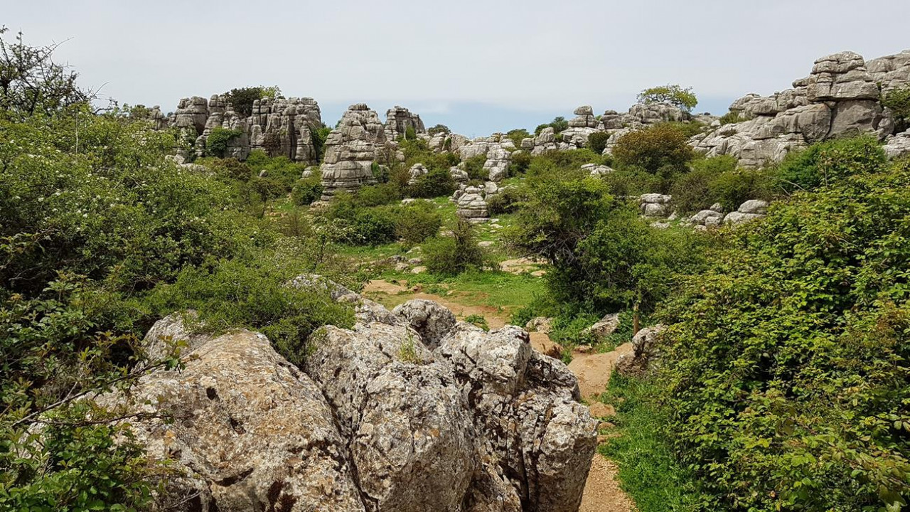El Torcal  Naturpark 11