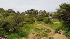 El Torcal  Naturpark 12