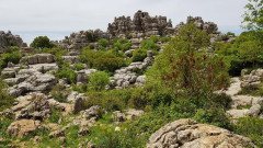 El Torcal  Naturpark 14