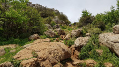 El Torcal  Naturpark 15