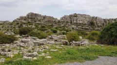 El Torcal  Naturpark 26
