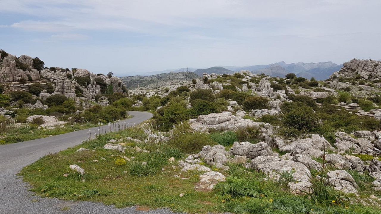 El Torcal  Naturpark 28