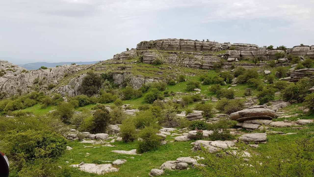 El Torcal  Naturpark 29