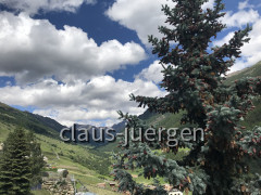 91773F42-2897-4668-A032-341381619CDF