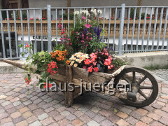 2D3DB61D-34A4-4D61-BD74-EF49BA143501