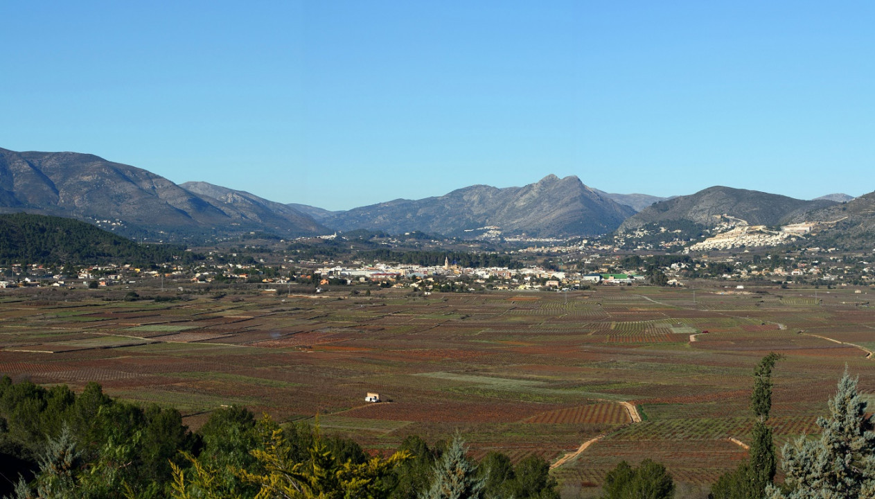 Jalón