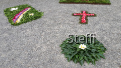 Blumenteppiche