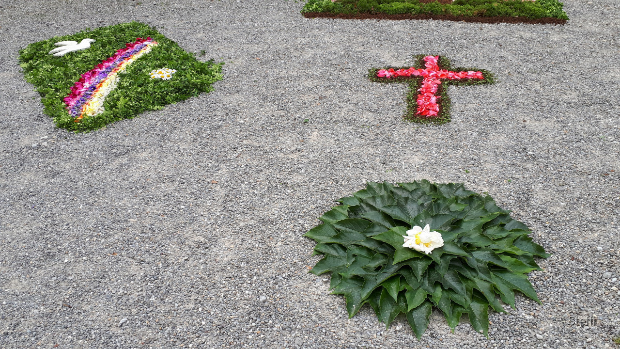 Blumenteppiche