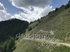 8D9070D9-366B-4D81-830B-2E4221ED7409