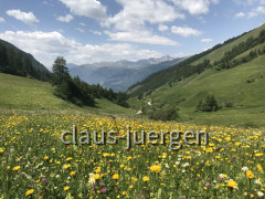 1A5EAA9A-8E03-4BCF-932B-754EA88E9C03