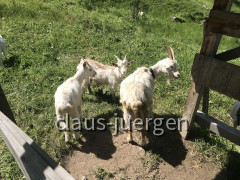 6735DAFE-2F7E-4AAD-BEF5-A588F71324B9