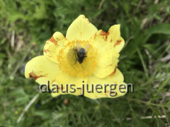 00163A53-9219-4E99-AF67-F99438C0F5FE