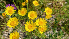 19.6.22 beim Filzenklaas