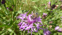 19.6.22 beim Filzenklaas