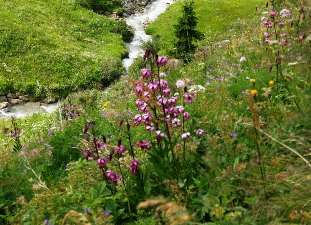 Planailtal