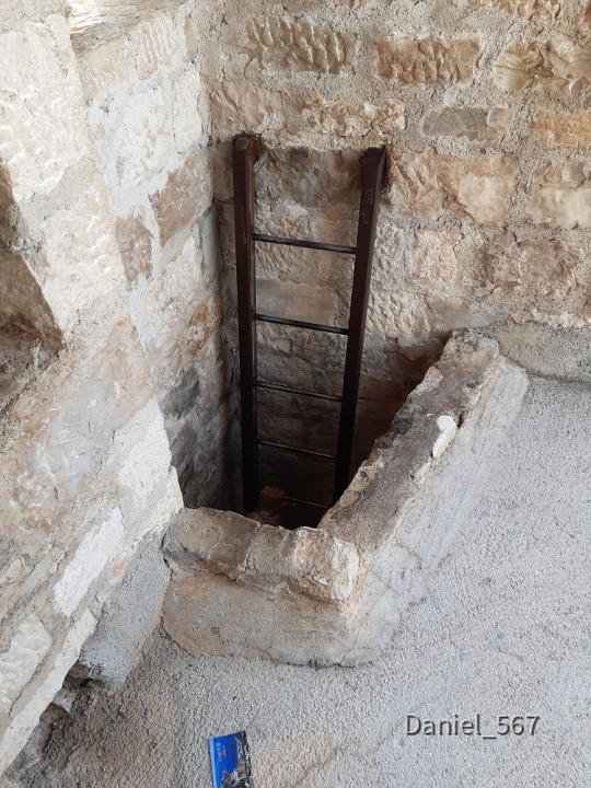 13_Omis
