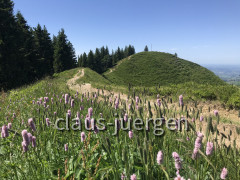A1F79020-E9FC-4DBA-880B-553084990B95