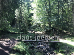 E462E17A-2678-4D0A-9F61-F95BE0520468