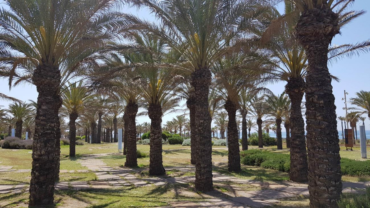 Cabo de Gata 04