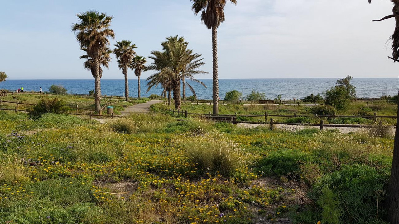 Cabo de Gata 07