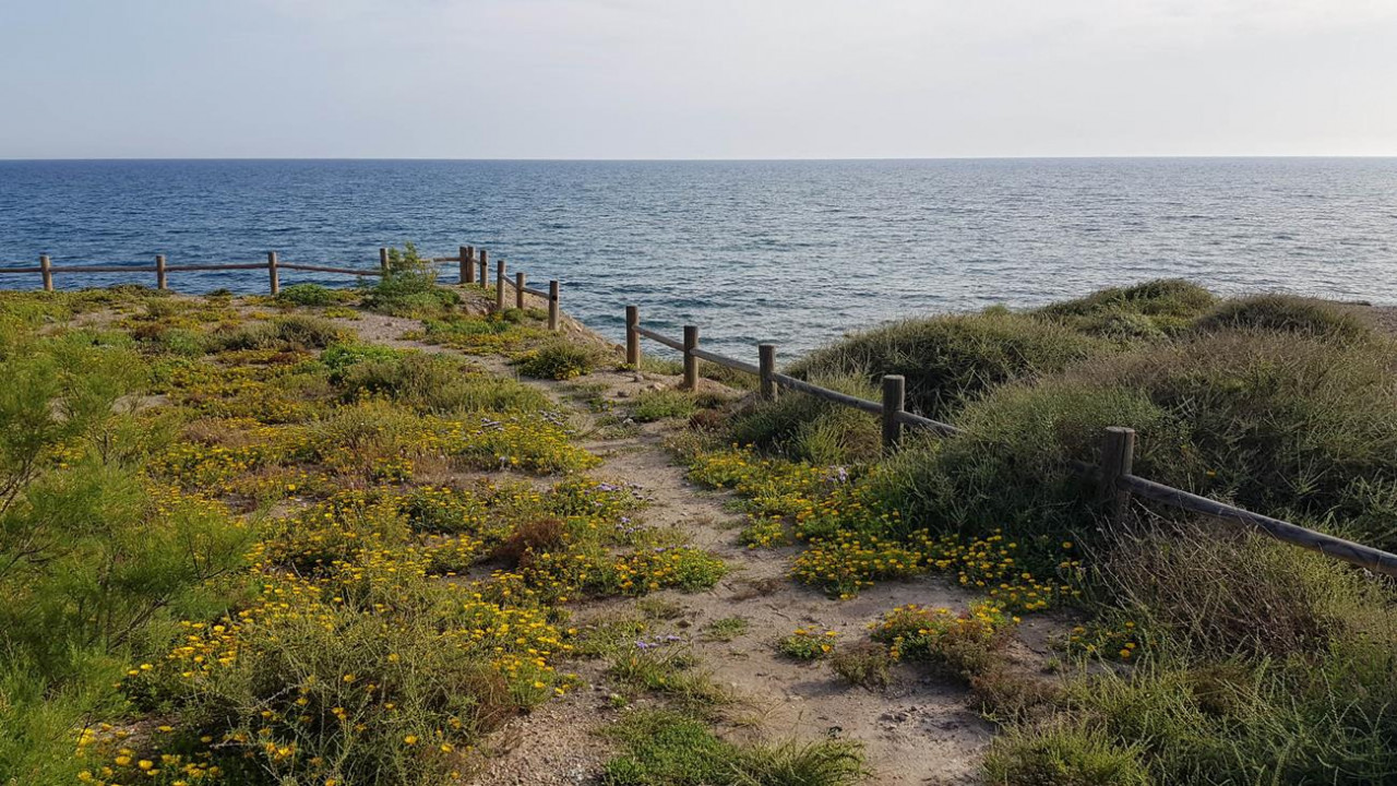Cabo de Gata 09