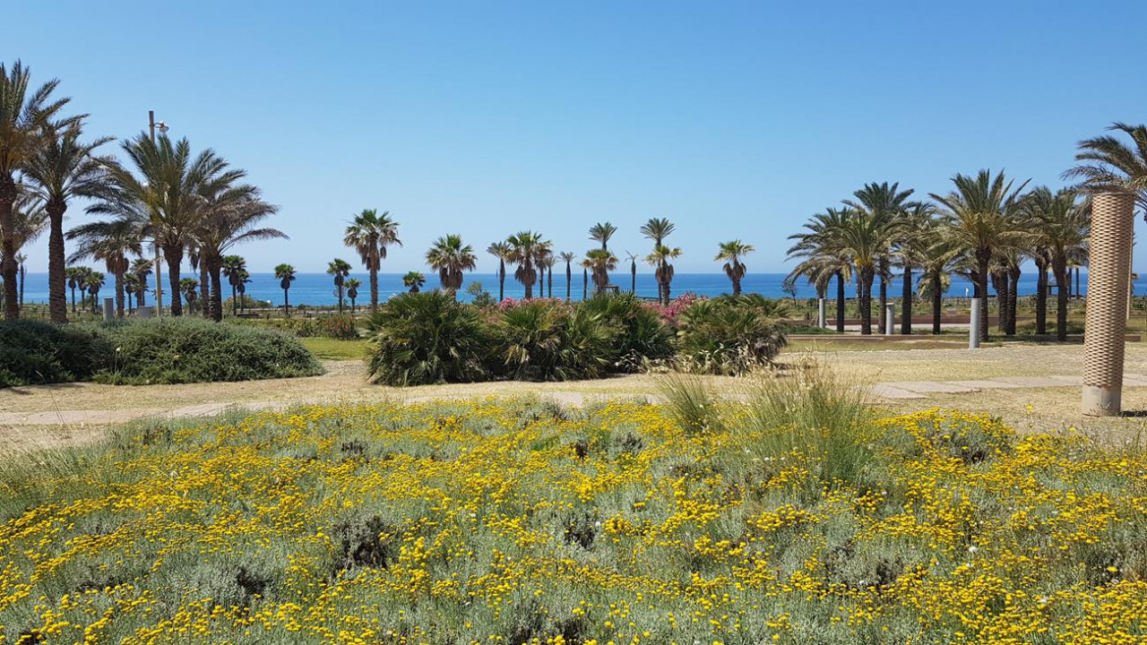 Cabo de Gata 11