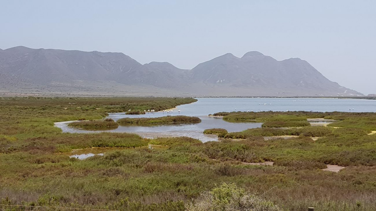 Cabo de Gata 36