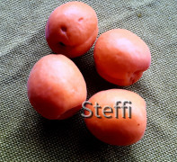 13D586D6-347E-4FDA-AF0B-A39519E60499
