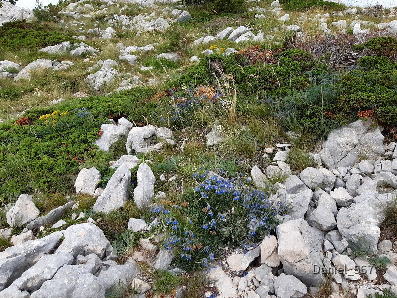 58_Biokovo