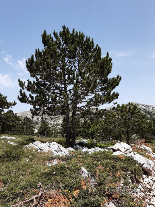 67_Biokovo