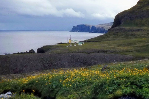 Latravik