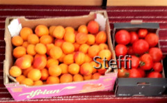 Vinschgauer Marillen und Tomaten aus Partschins