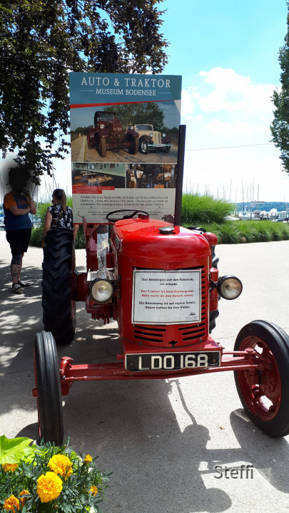 Uferpark Unteruhldingen am Bodensee (12)