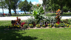 Uferpark Unteruhldingen am Bodensee (3)