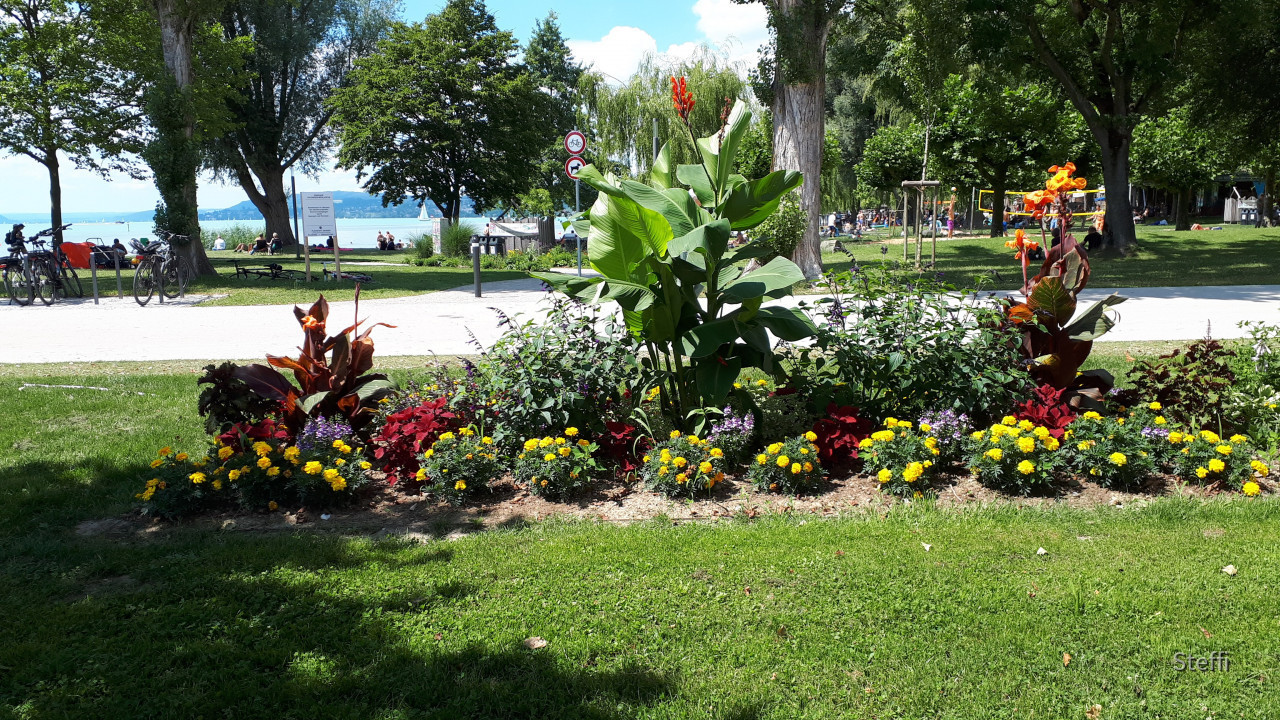 Uferpark Unteruhldingen am Bodensee (3)