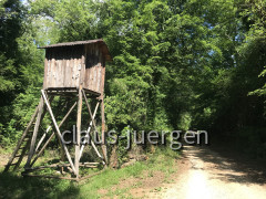 Wanderung Limfjord (22)