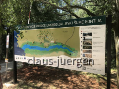 Wanderung Limfjord (34)