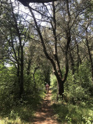 Wanderung Limfjord (40)