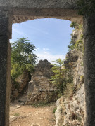Novigrad (5)