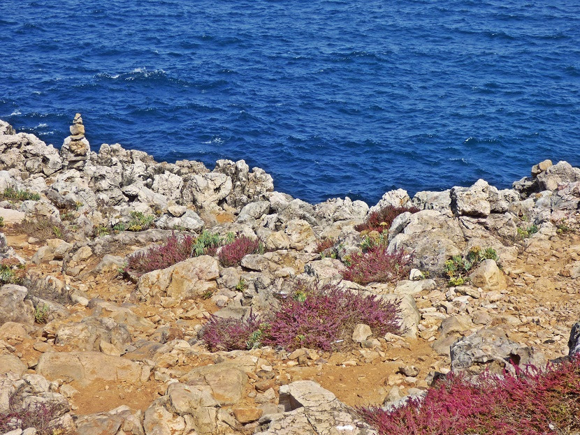 Costa Vicentina