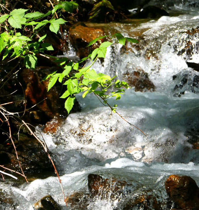 Haidersee