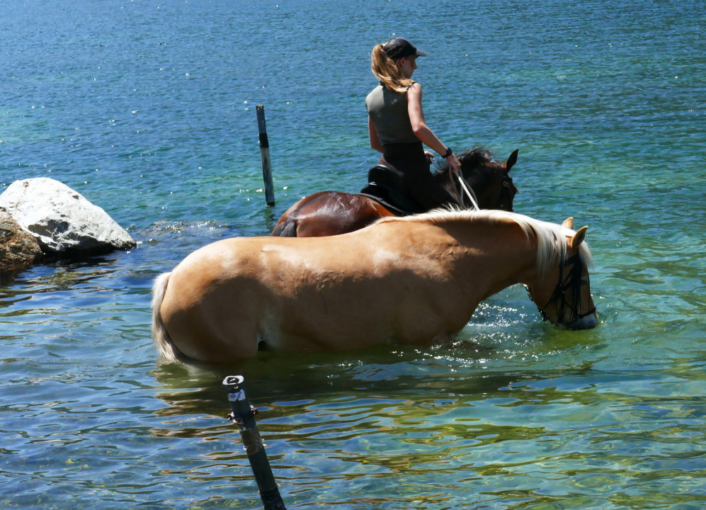 Haidersee