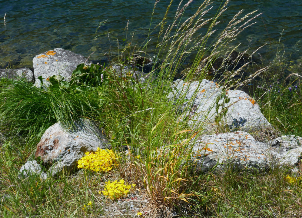 Haidersee