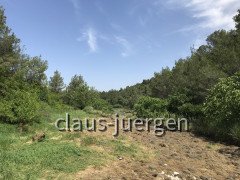 Wanderung Quelle Karisnica (49)