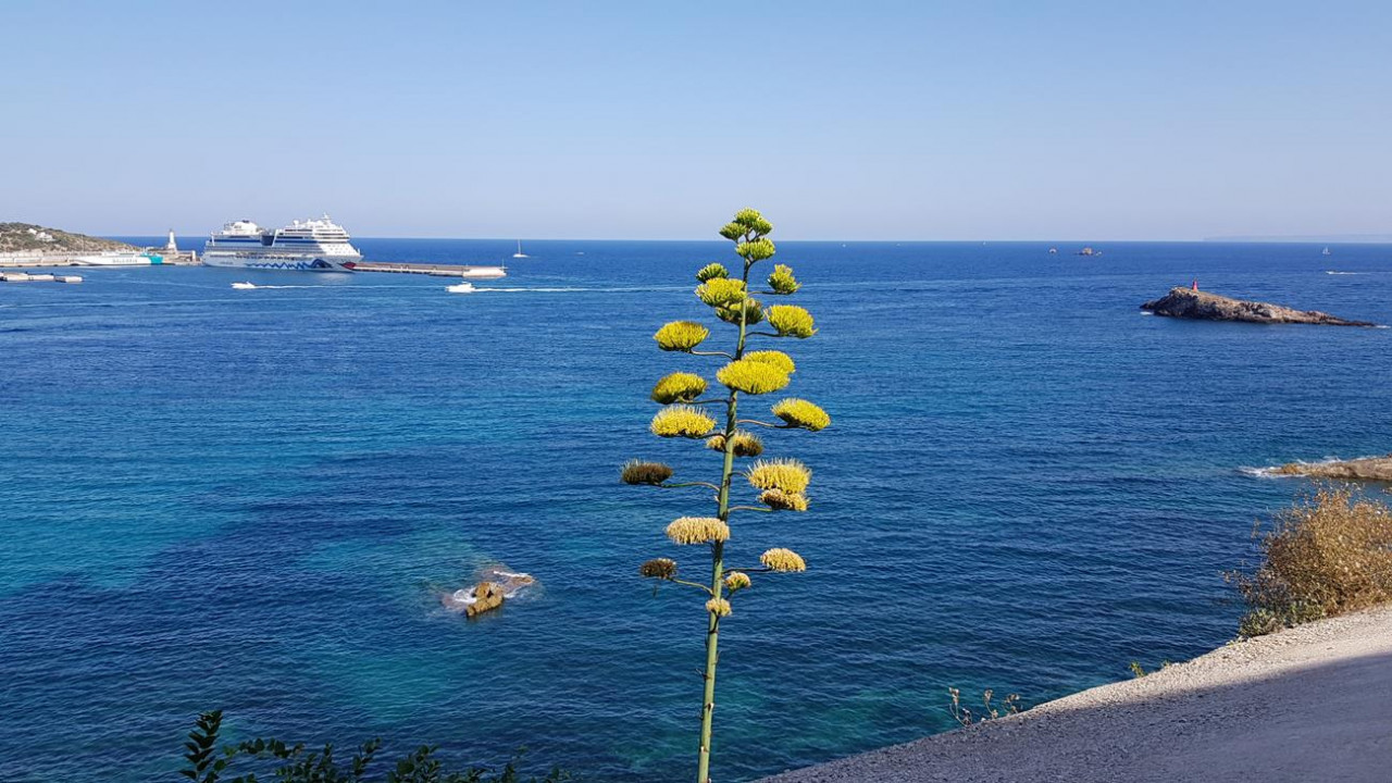 Ibiza 19