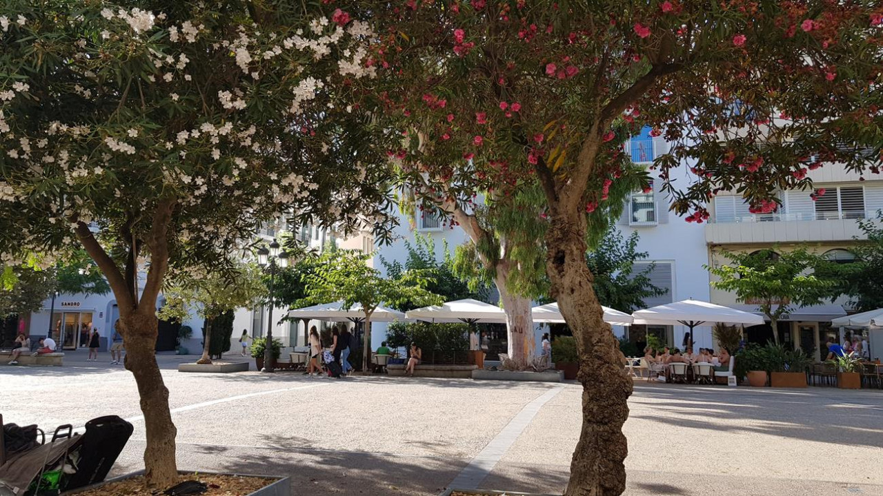 Ibiza 27
