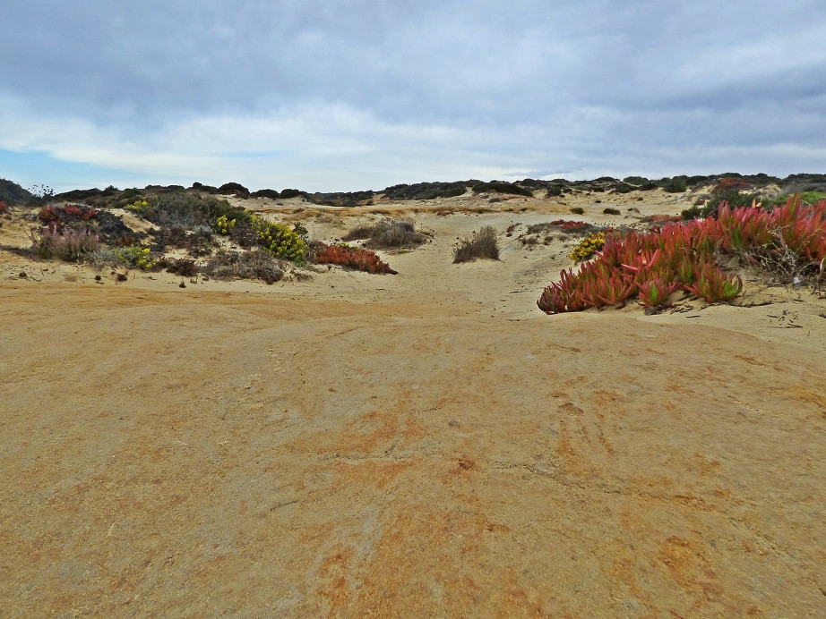 Zambujeira do Mar im Nieselregen